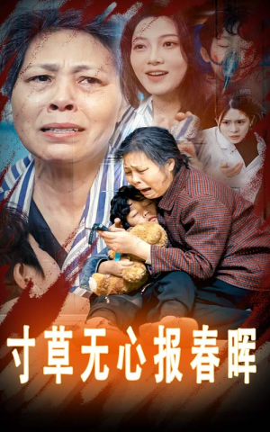 寸草无心报春晖（31集）火爆短剧抢先看