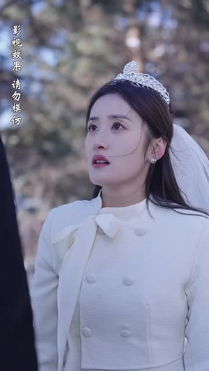 北城往事之风起云涌（60集）短剧抢先看全集