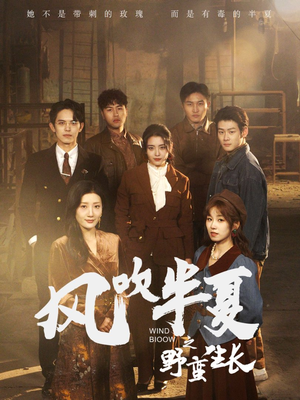 风吹半夏之野蛮生长（59集）最后一集