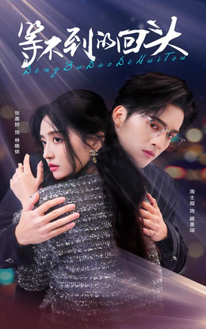 等不到的回头（35集）怎么看全集