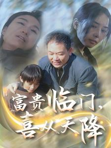 富贵临门，喜从天降（18集）精彩好看短剧