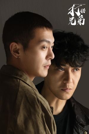 打拐兄弟（30集）免费观看就是爽