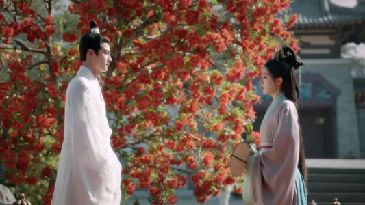 度华年（40集）最热门短剧来了