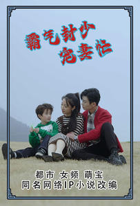 霸气封少宠妻忙（80集）红果免费短剧