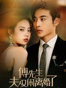 傅先生夫人又闹离婚了（80集）第32集