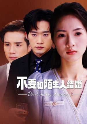 不要和陌生人结婚（90集）好看吗