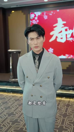 白夜追凶之龙兄虎弟（80集）免费短剧片段