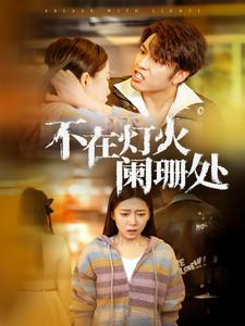 不在灯火阑珊处（55集）全集免费