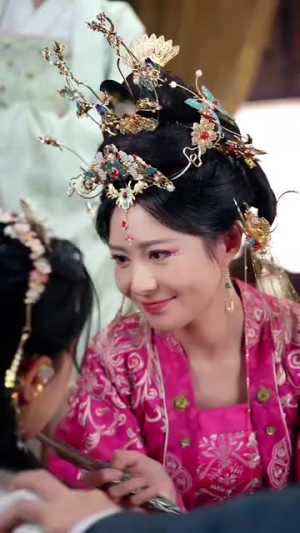 宫锁南枝（31集）短剧免费看