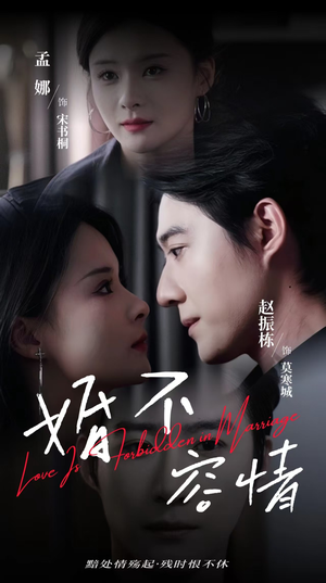 婚不容情（89集）爆火短剧抢先看