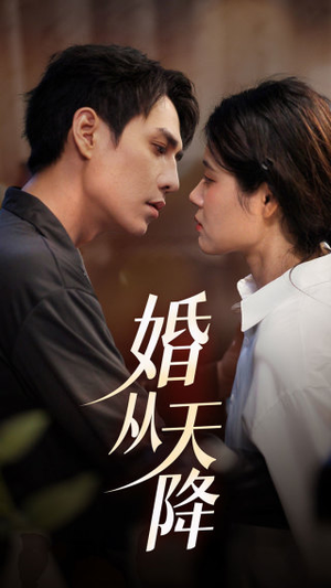 婚从天降(92集) 婚从天降(92集)超火短剧抢先看