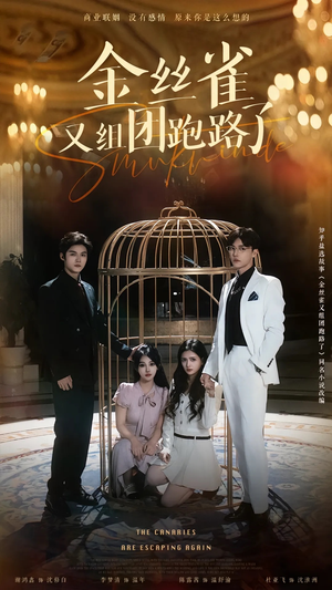 金丝雀又组团跑路了（长篇）直接追到结尾