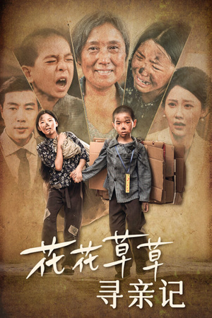 花花草草寻亲记（42集）在线看免费版