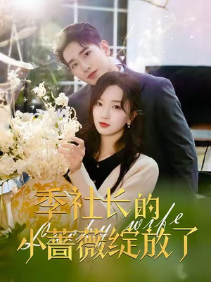 季社长的小蔷薇绽放了（60集）全集