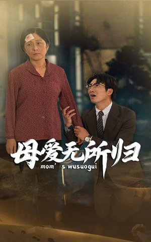 母爱无所归（33集）推荐你们也去看