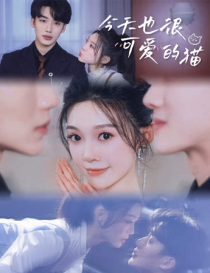 今天也很可爱的猫（72集）在哪个平台看好