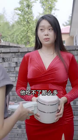 爱逛后花园（100集）好看的短剧