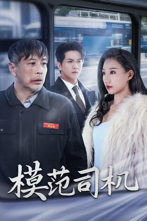 模范司机（30集）短剧更新抢先看