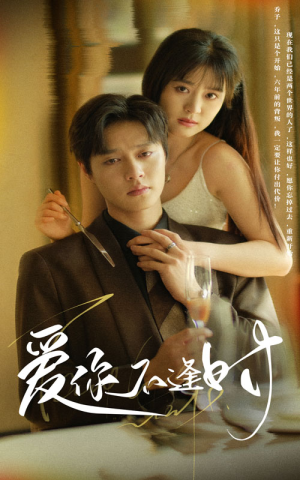 爱你不逢时（91集）解说文案