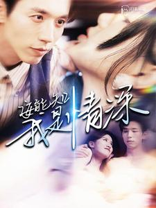 安能知我是情深（120集）解说