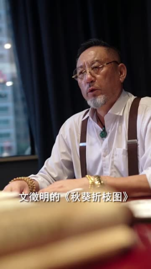 鉴宝龙婿（80集）最近很火的短剧