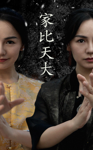 家比天大（63集）精彩片段