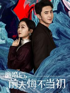 离婚后前夫悔不当初（40集）免费在线看全集