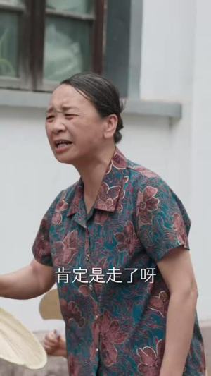 农村里飞出金凤凰（68集）短剧解说热门