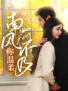 南风不及你温柔（74集）解说文案