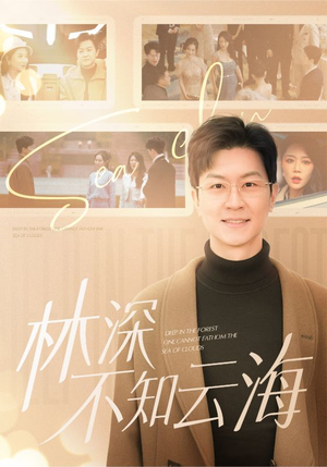 林深不知云海（84集）在线免费观影
