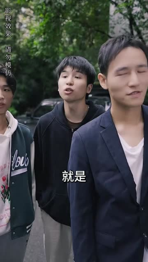 极品神婿（100集）免费观看