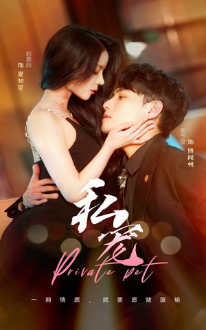 私宠（94集）全集下载