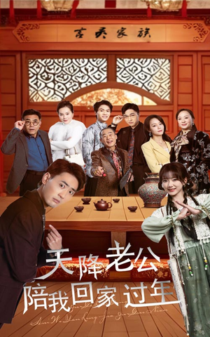 天降老公陪我回家过年（60集）追短剧看全集