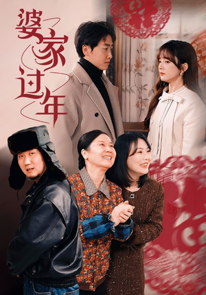 婆家过年（71集）夸克网盘在线看