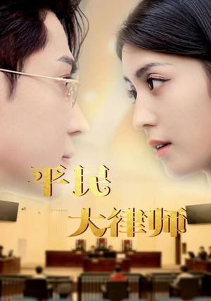 平民大律师（95集）好看吗