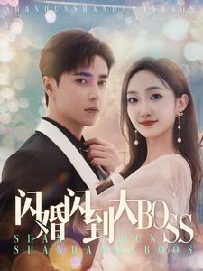 闪婚闪到大BOOS(76集) 闪婚闪到大BOOS(76集)最后一集