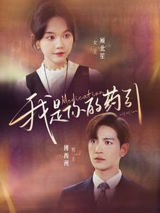 我是你的药引（100集）网上可以看吗
