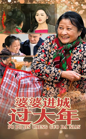 婆婆进城过大年（33集）最新热剧免费看