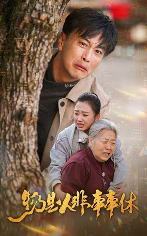 物是人非事事休（41集）在哪看免费