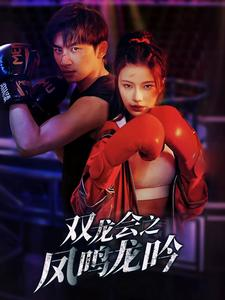 双龙会之凤鸣龙吟(80集) 双龙会之凤鸣龙吟(80集)解说文案