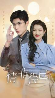 情非得已（60集）热播短剧追不停