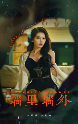 墙里墙外（55集）全集完整版
