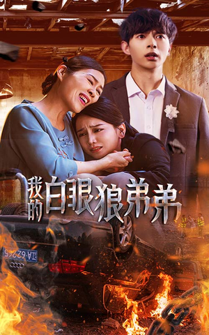 我的白眼狼弟弟（69集）好看到停不下来