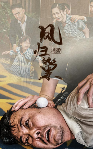 新版：凤归巢（68集）短剧也太好看了