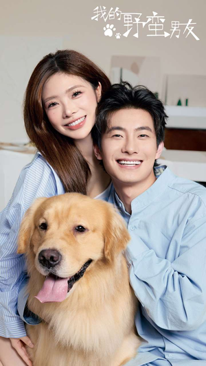 我的野蛮男友（70集）短剧太好看