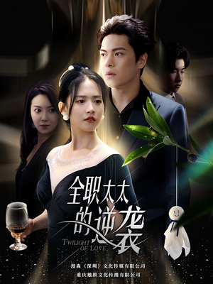 全职太太的逆袭（80集）免费短剧看不停