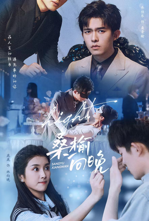 桑榆向晚（65集）一口气看完