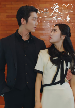 如果爱有天意（80集）一口气追完全集