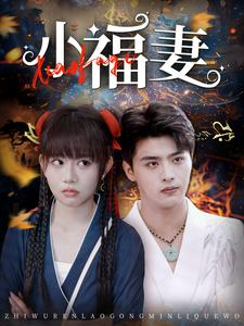 小福妻（62集）短剧分享剧集