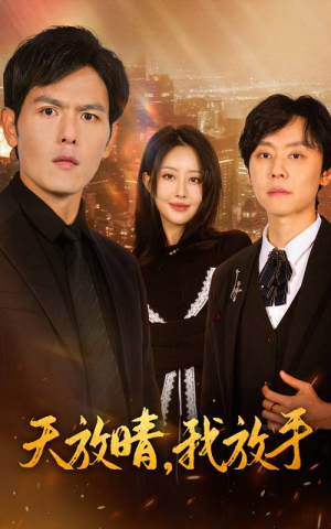 天放晴,我放手(35集) 天放晴,我放手(35集)精彩的短剧